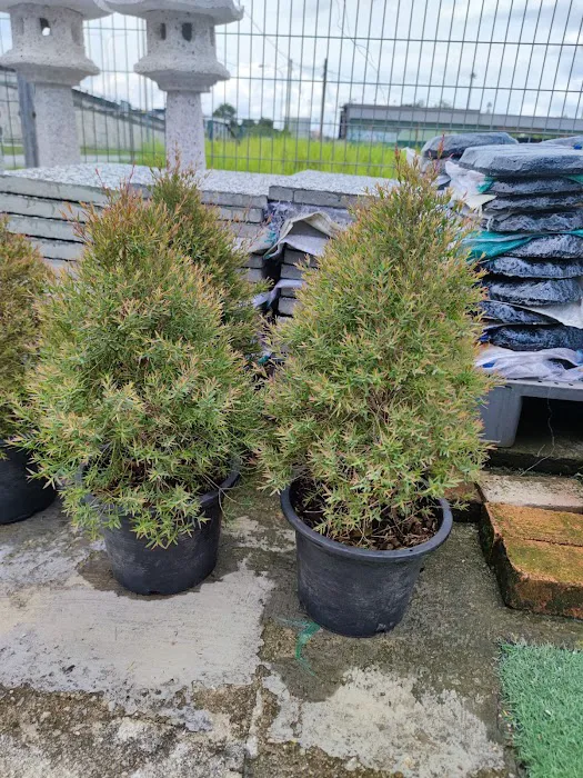 YUE LING NURSERY Picture 8