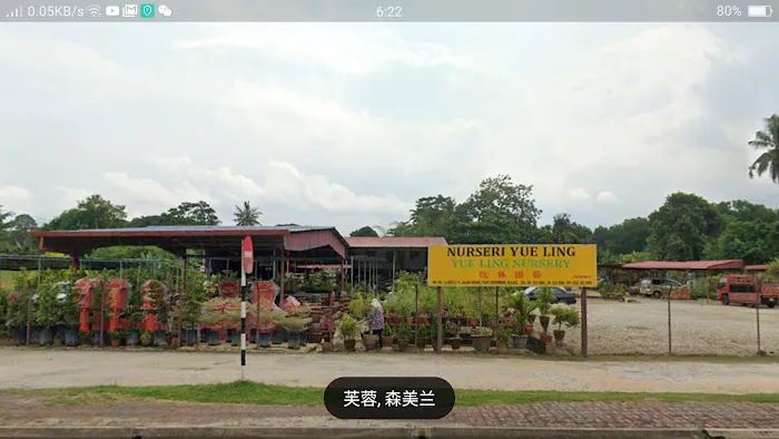 YUE LING NURSERY Picture 9