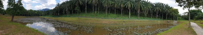 Bukit Galena Lake Picture 6