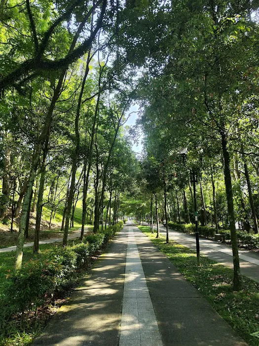 The Park At Alam Damai Picture 10