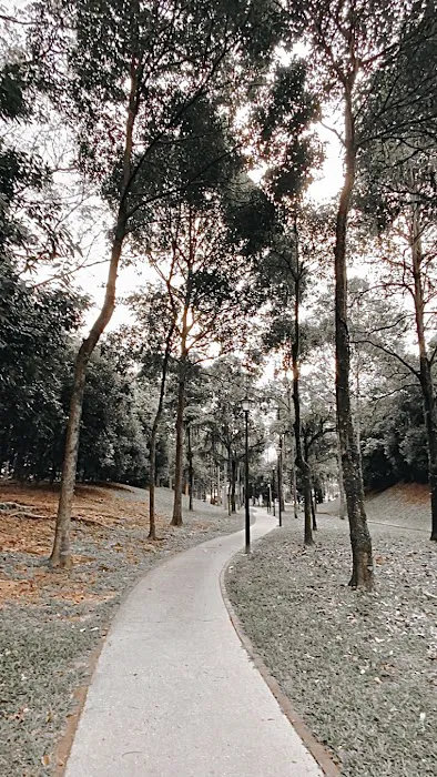 The Park At Alam Damai Picture 5