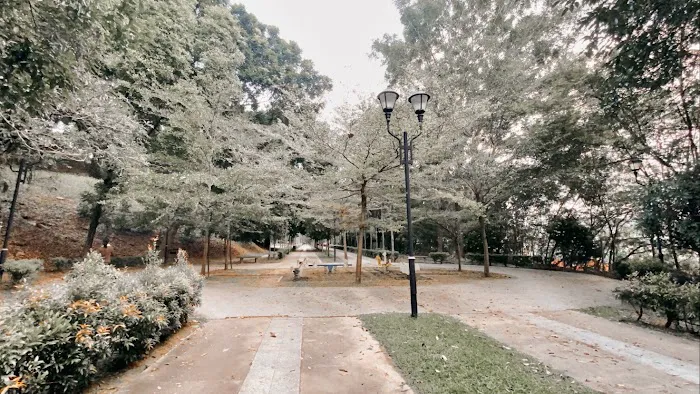 The Park At Alam Damai Picture 6