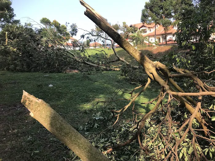 Taman Alam Damai Picture 4