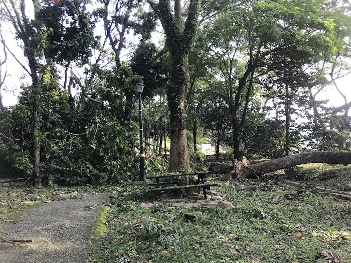 Taman Alam Damai Picture 8