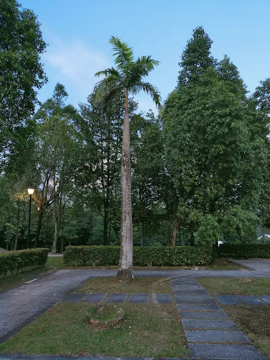 Alam Damai Park Highest Point Picture 6