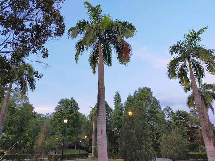 Alam Damai Park Highest Point Picture 9
