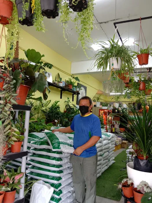 ZulAbe Nursery Picture 2