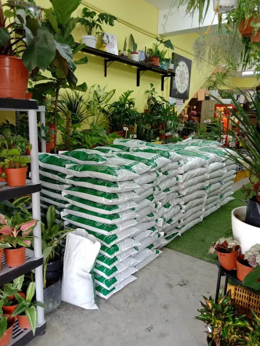 ZulAbe Nursery Picture 3