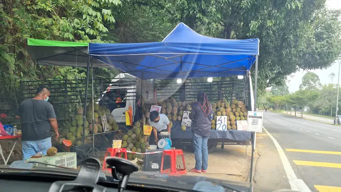 Taman Kajang Utama Picture 10