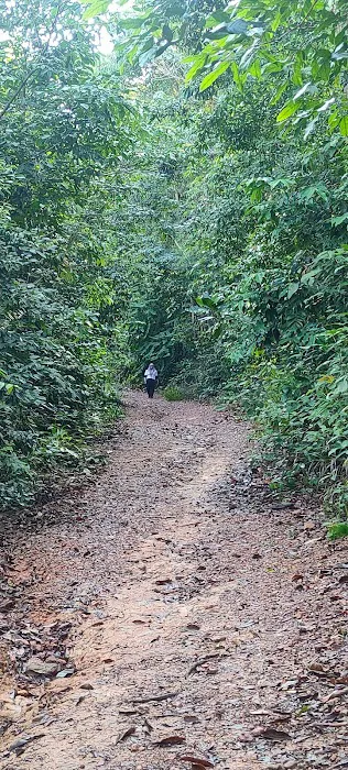 Bukit H (Tikam Batu) تيكم باتو Picture 6