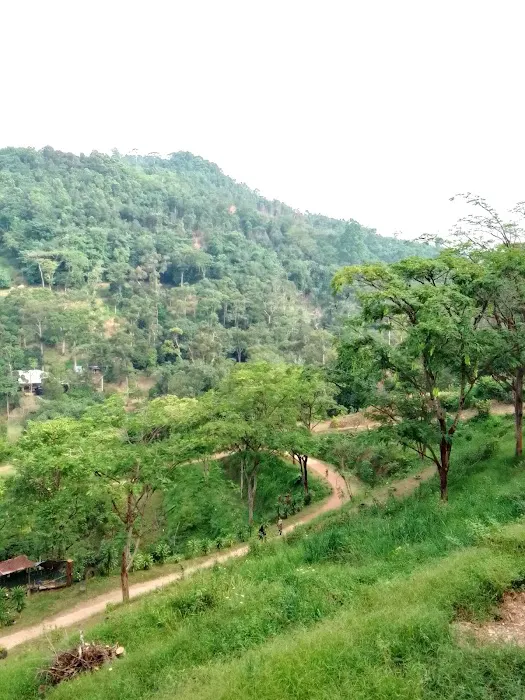 Bukit H (Tikam Batu) تيكم باتو Picture 7