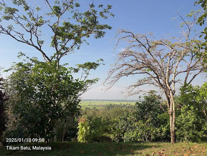 Bukit Berapit Picture 2