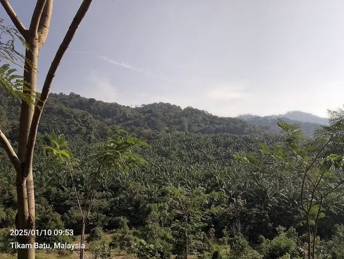Bukit Berapit Picture 1