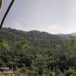 Bukit Berapit