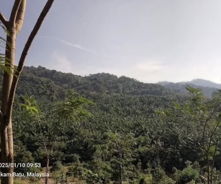 Bukit Berapit