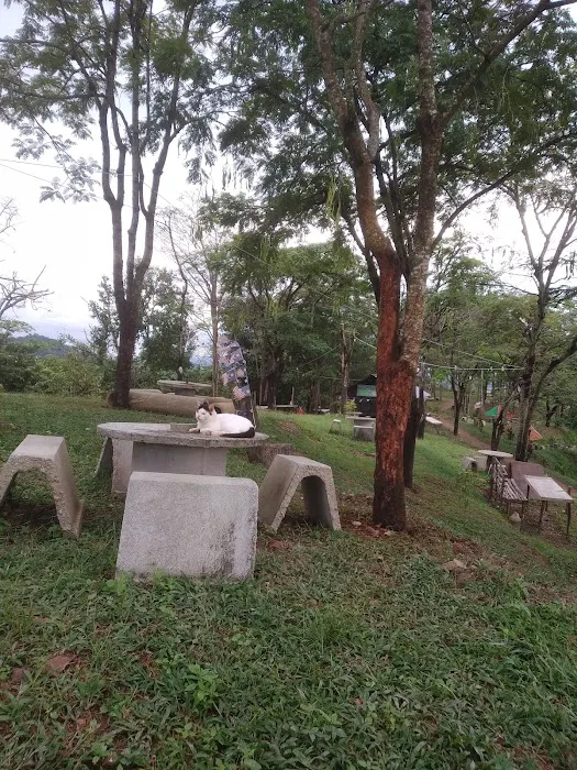 Bukit Hj Yusof Campsite Picture 10