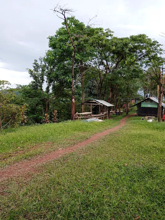 Bukit Hj Yusof Campsite Picture 6