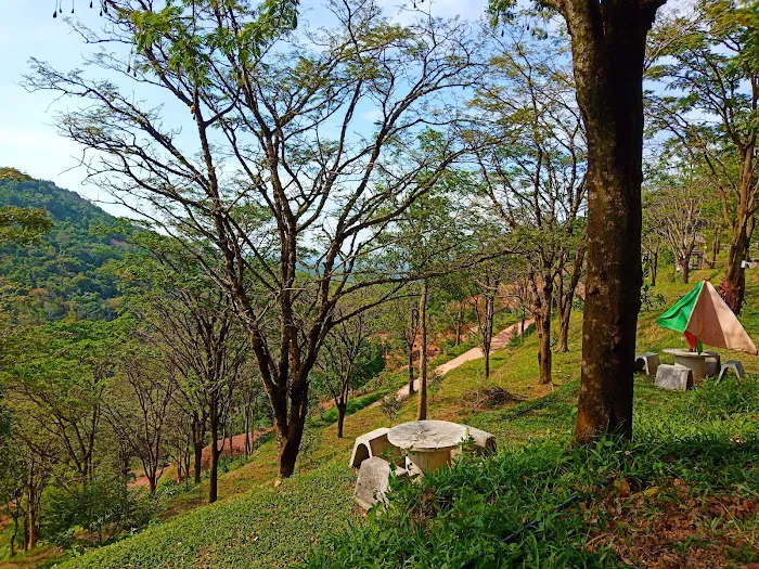 Bukit Hj Yusof Campsite Picture 9