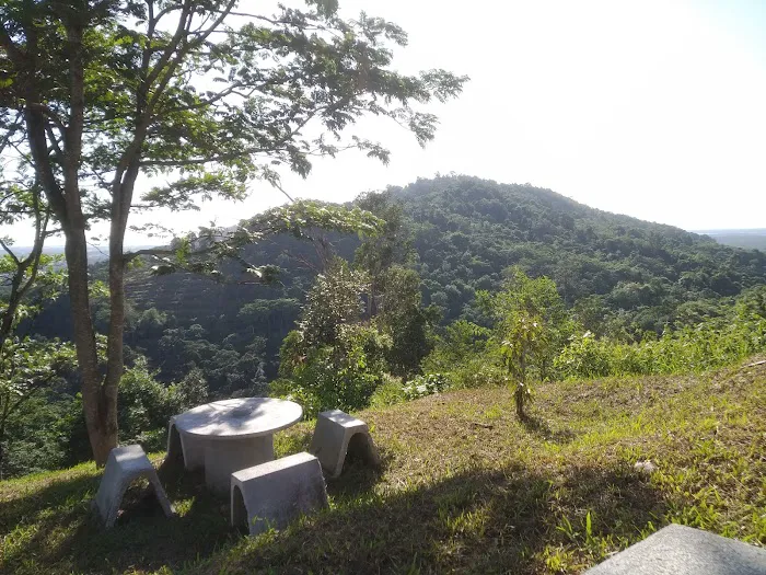 Bukit Hj Yusof Campsite Picture 7
