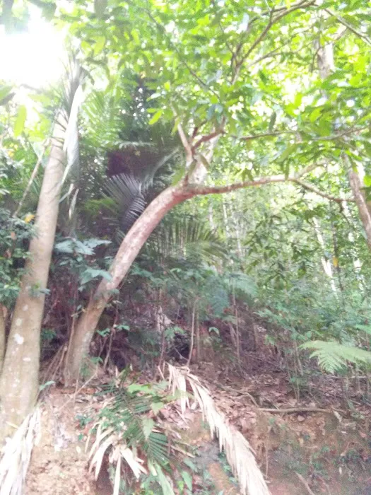 Bukit ‘H’ Picture 6
