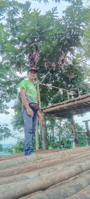 Bukit ‘H’ Picture 4