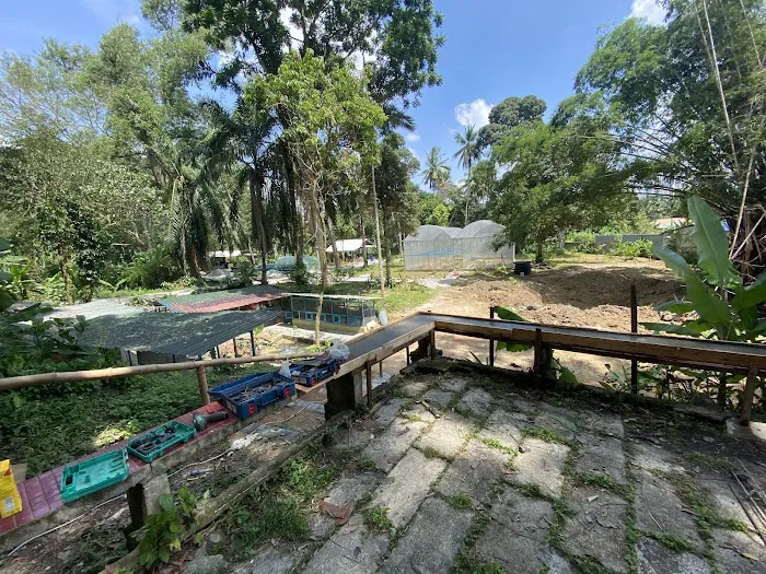 Kebun RiMBA Rinching Picture 1