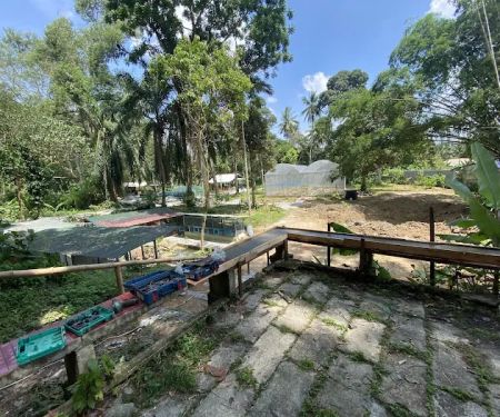 Kebun RiMBA Rinching