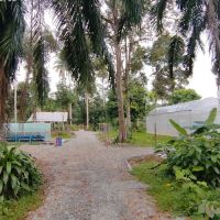 Kebun Hj. Bakri & Hjh. Fatimah ico