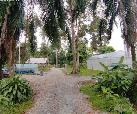Kebun Hj. Bakri & Hjh. Fatimah