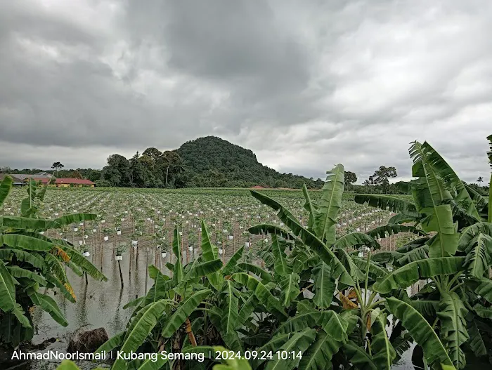 Bukit Kompas Picture 1