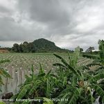 Bukit Kompas