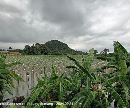 Bukit Kompas