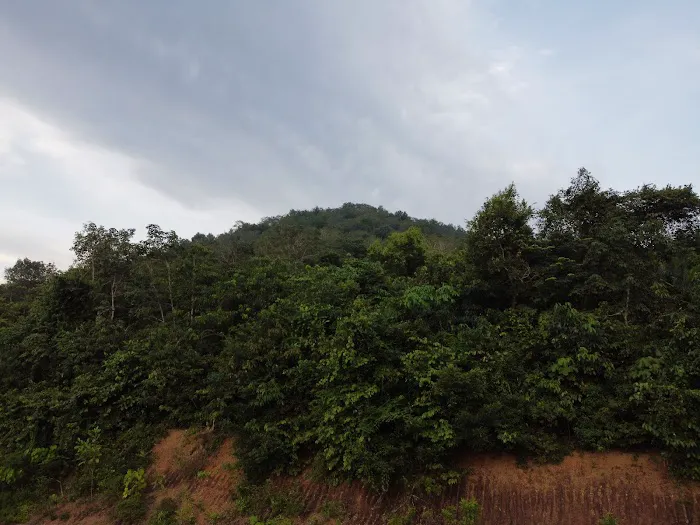 Bukit Kompas Picture 7
