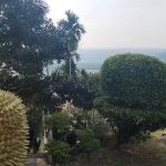 Bukit Langkap