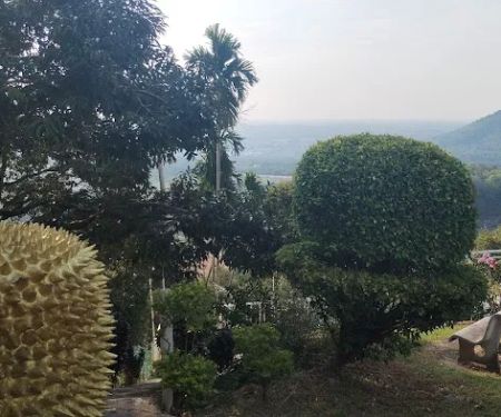 Bukit Langkap