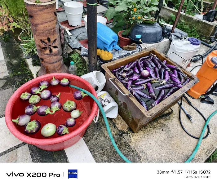Pertubuhan Kebun Ceria Indah爱心菜園 Picture 4