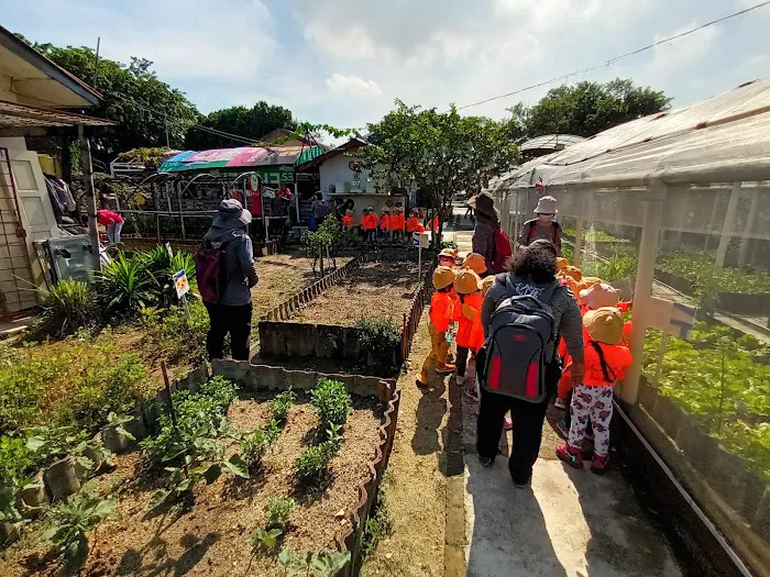 Pertubuhan Kebun Ceria Indah爱心菜園 Picture 1
