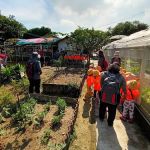 Pertubuhan Kebun Ceria Indah爱心菜園