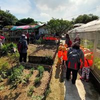 Pertubuhan Kebun Ceria Indah爱心菜園 ico