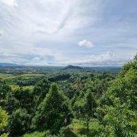 Suling Hill ico