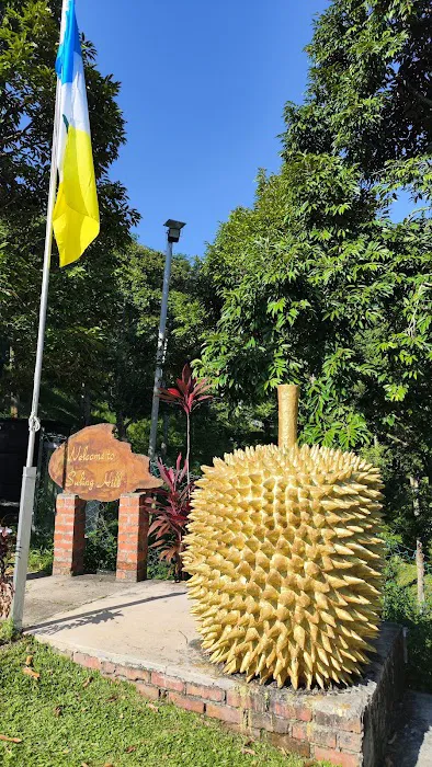 Suling Hill Picture 3