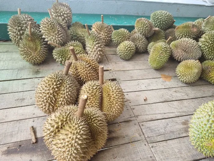 Suling Hill Picture 10