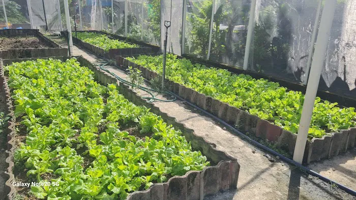 KEBUN KOMUNITI CERIA INDAH (Tmn Cheras Indah) Picture 7