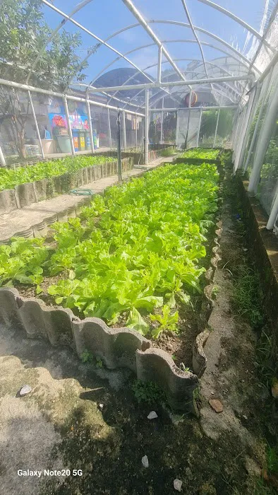 KEBUN KOMUNITI CERIA INDAH (Tmn Cheras Indah) Picture 5