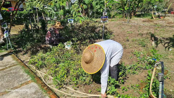 KEBUN KOMUNITI CERIA INDAH (Tmn Cheras Indah) Picture 4