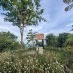 Puncak Bukit Langkap
