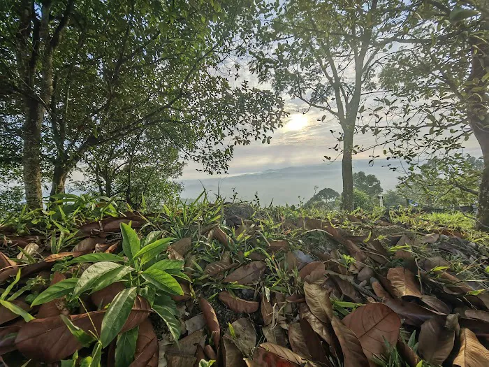 Puncak Bukit Langkap Picture 2