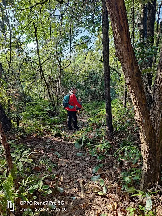Pudu Ulu Hill's Peak Picture 3