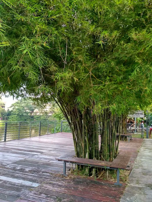 Pandan Perdana Lake Picture 8