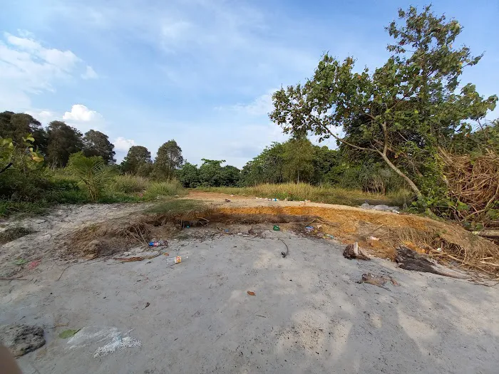 Bagan Lalang Mangrove Picture 6